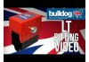 Bulldog LT Mini Hitch Lock